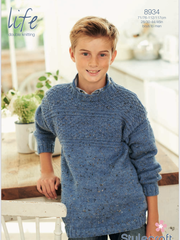 Stylecraft Life D/K Men & Boys Round Neck Sweater Knitting Pattern 8934